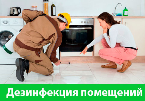 Дезинфекция офисов от коронавируса в городе Симферополь