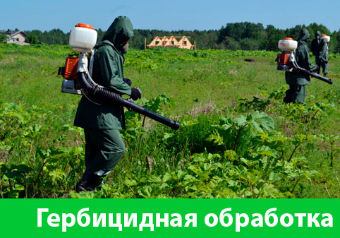 Гербицидная обработка в городе Симферополь