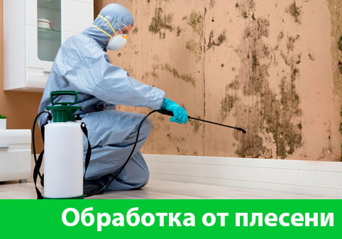 Обработка от плесени в городе Симферополь