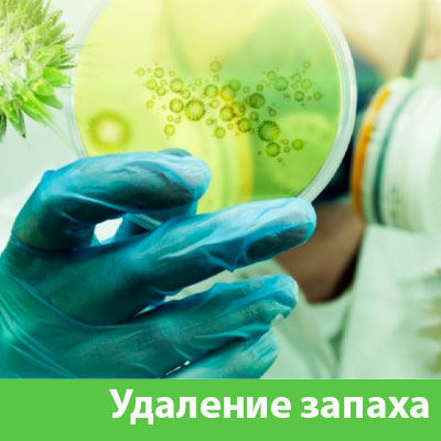 Удаление запахов в Симферополе