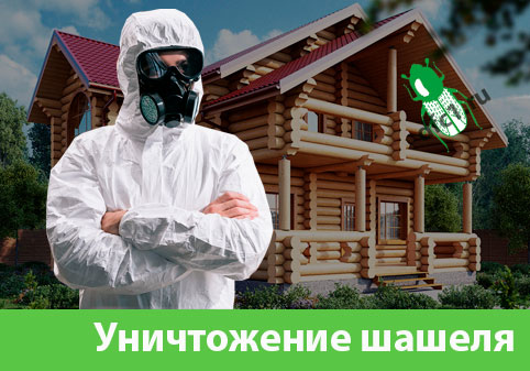 Уничтожение шашеля и личинок в Симферополе