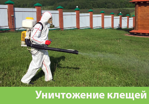 Уничтожение клещей в городе Симферополь