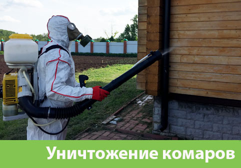 Уничтожение комаров в городе Симферополь