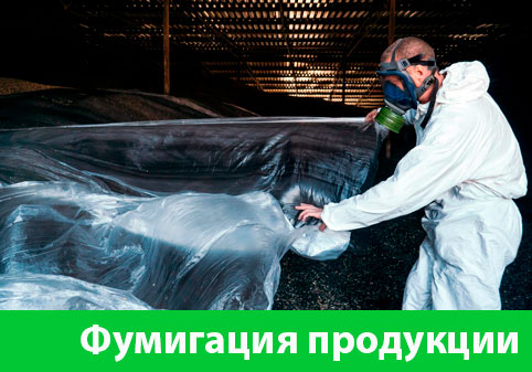 Фумигация продукции в городе Симферополь